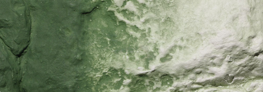 Woodland Scenics - Liquid Pigment - Green Undercoat (C1228) - the-pennsy-station-llc